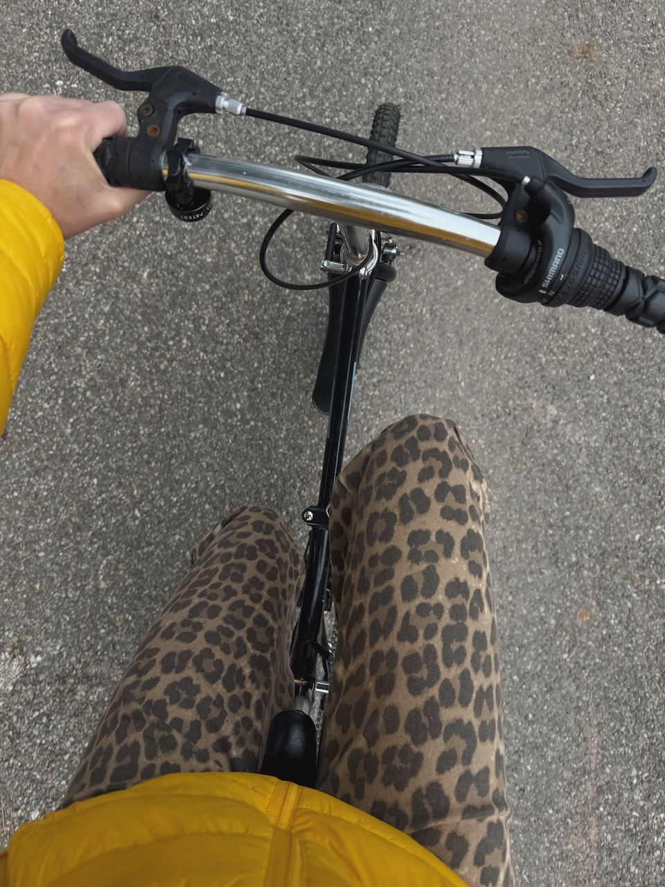 Bild Bycicle