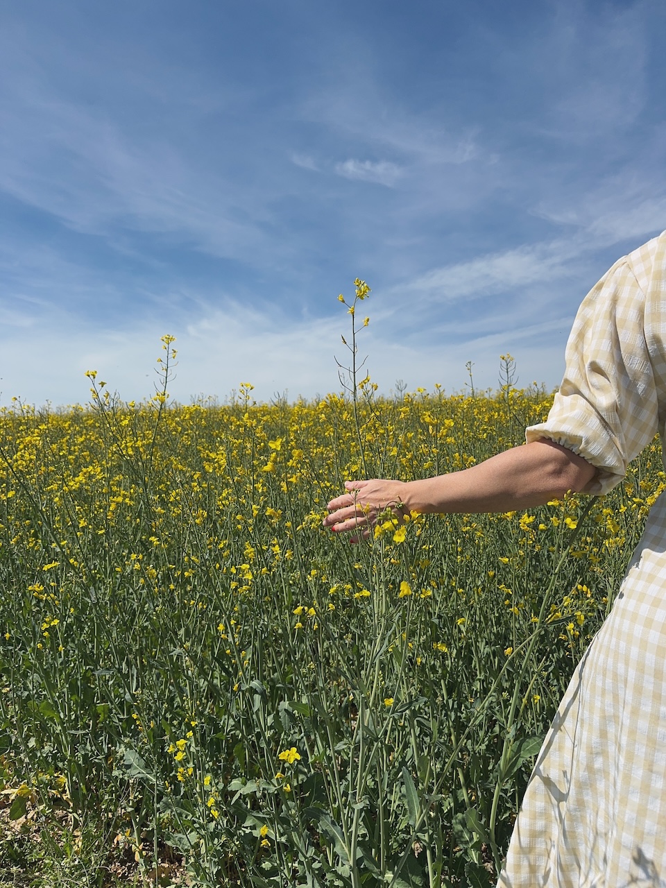 Bild Frühlingsduft