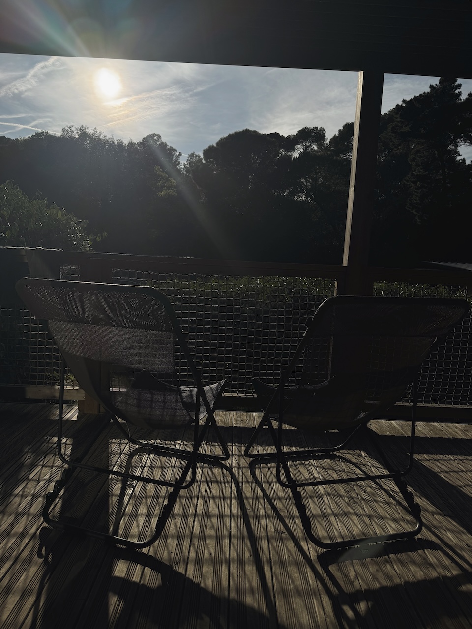 Bild Sunisout