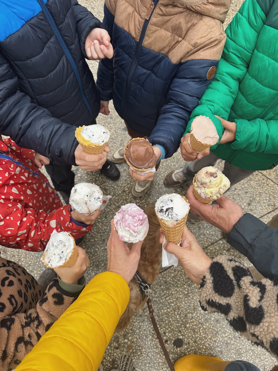 Bild Gelatocrew