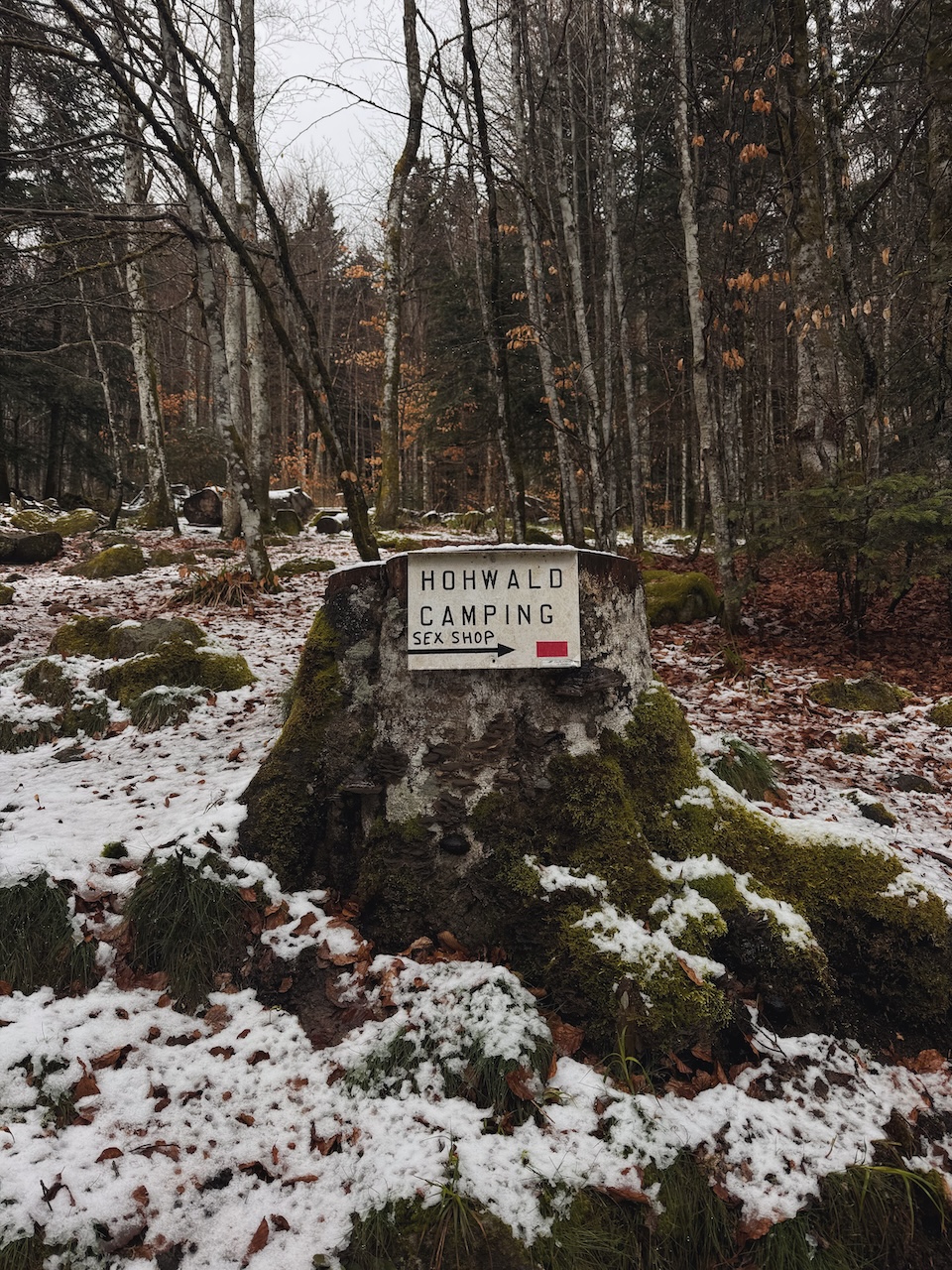 Bild Wondering Wanderer