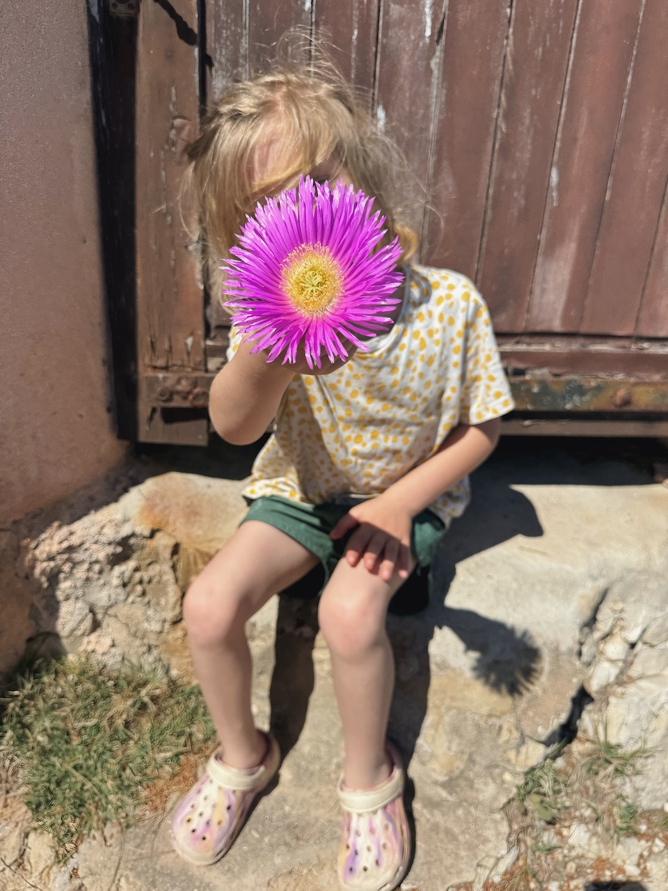 Bild Flower
