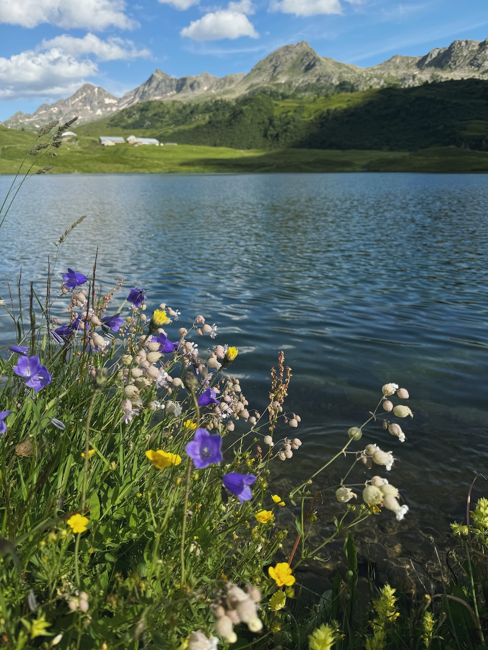 Bild Lago Cadagno