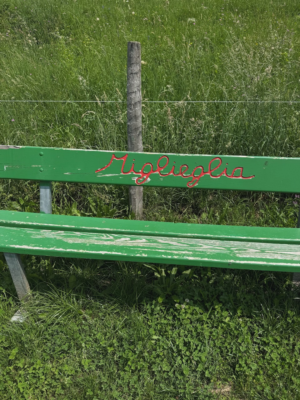 Bild Miglieglia