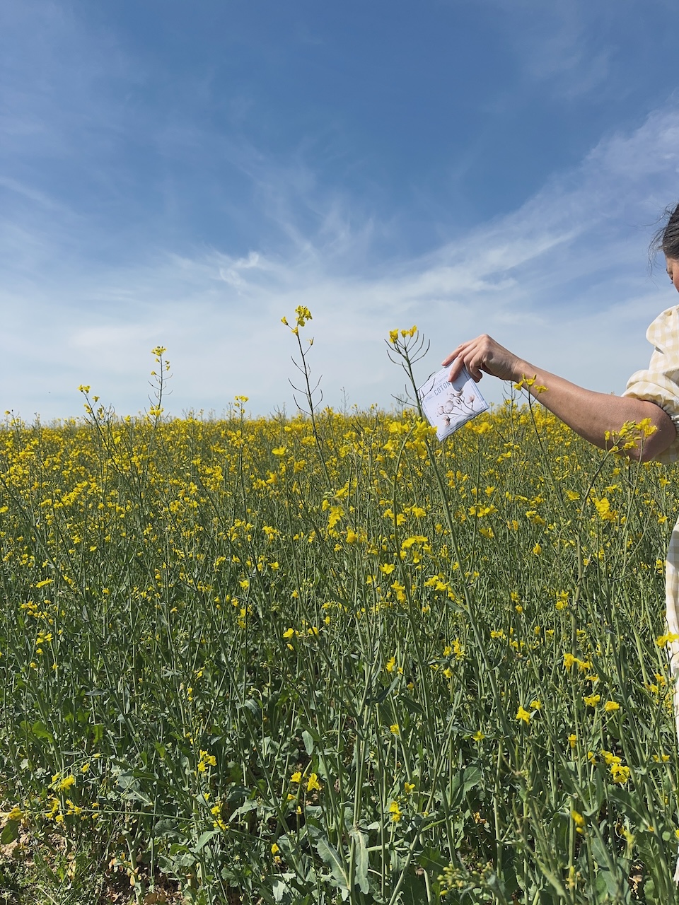 Bild Coton Duftsachet