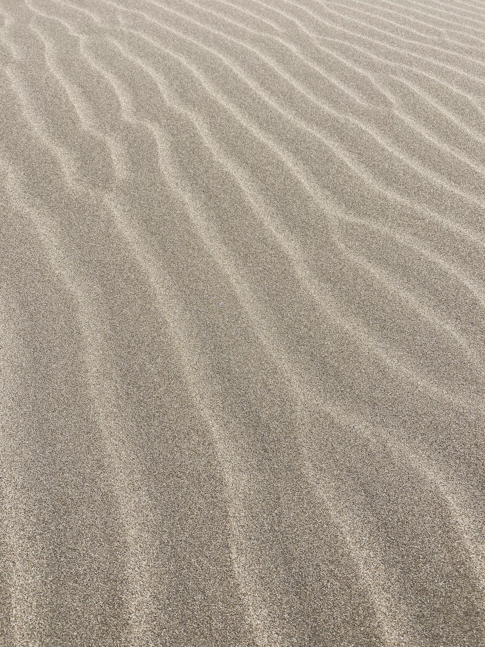 Bild Sand