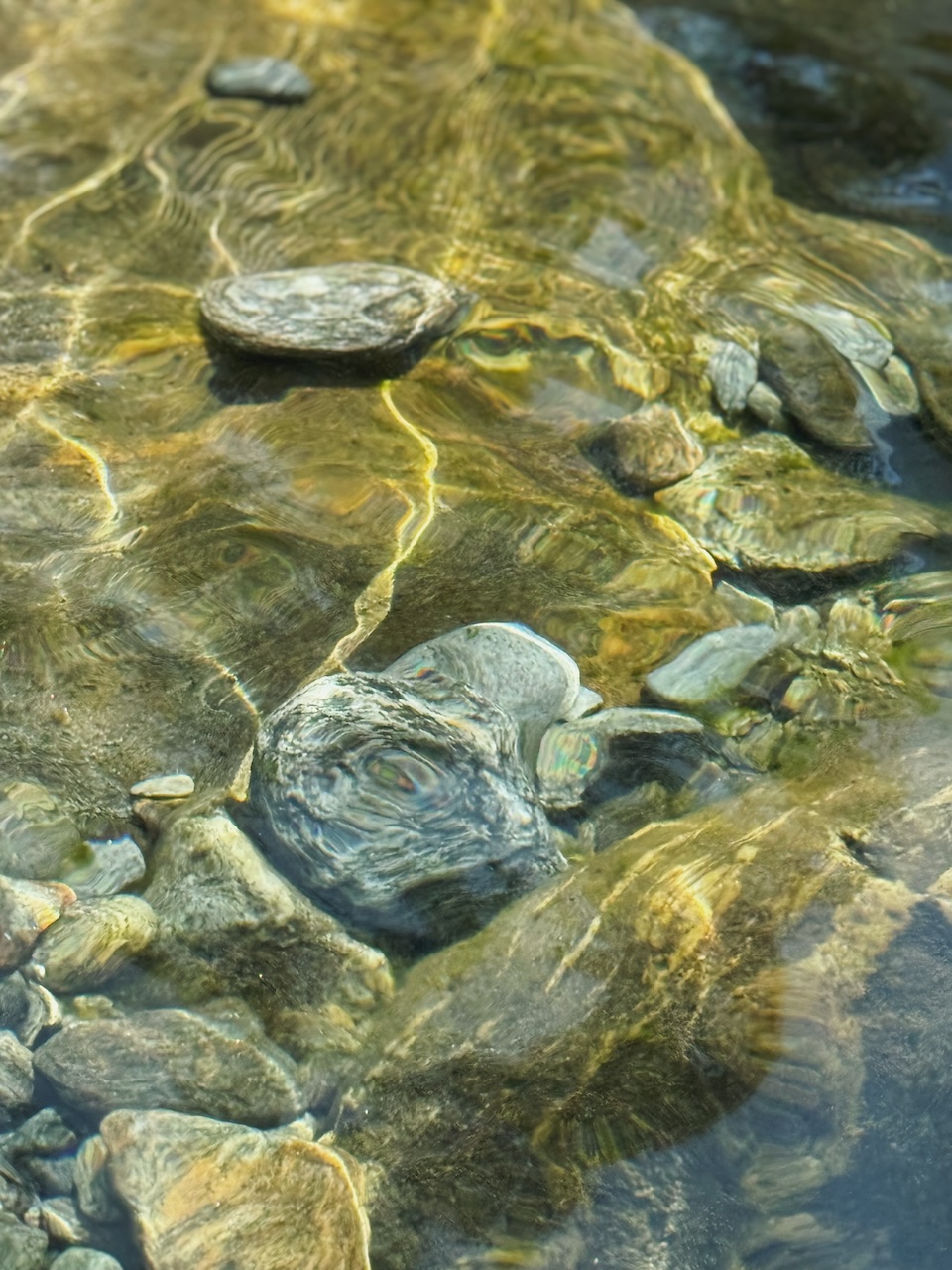 Bild Water Verzasca