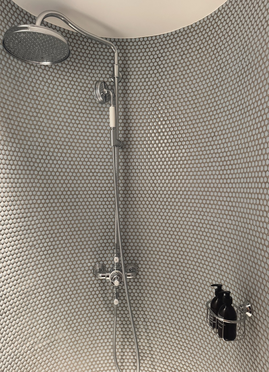 Bild Shower Kleinerlöwe