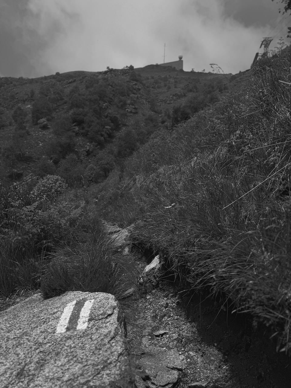 Bild Wandern