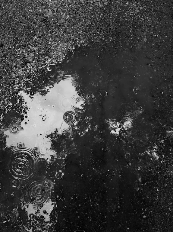 Bild Rain
