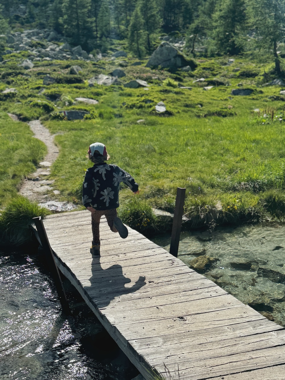 Bild Brücke Springen