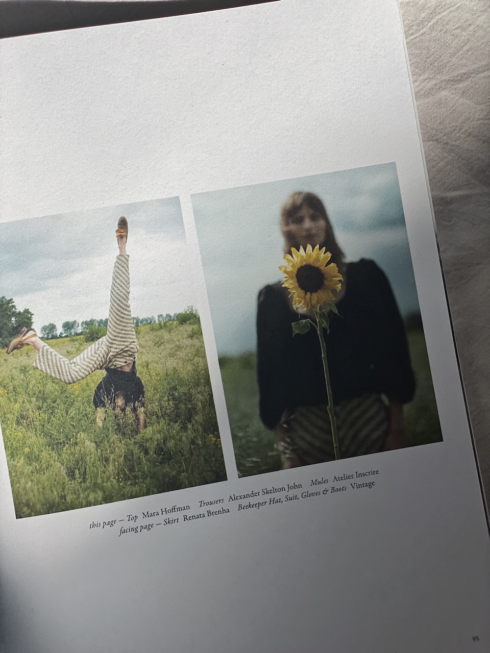 Bild Sonnenblume Magazin