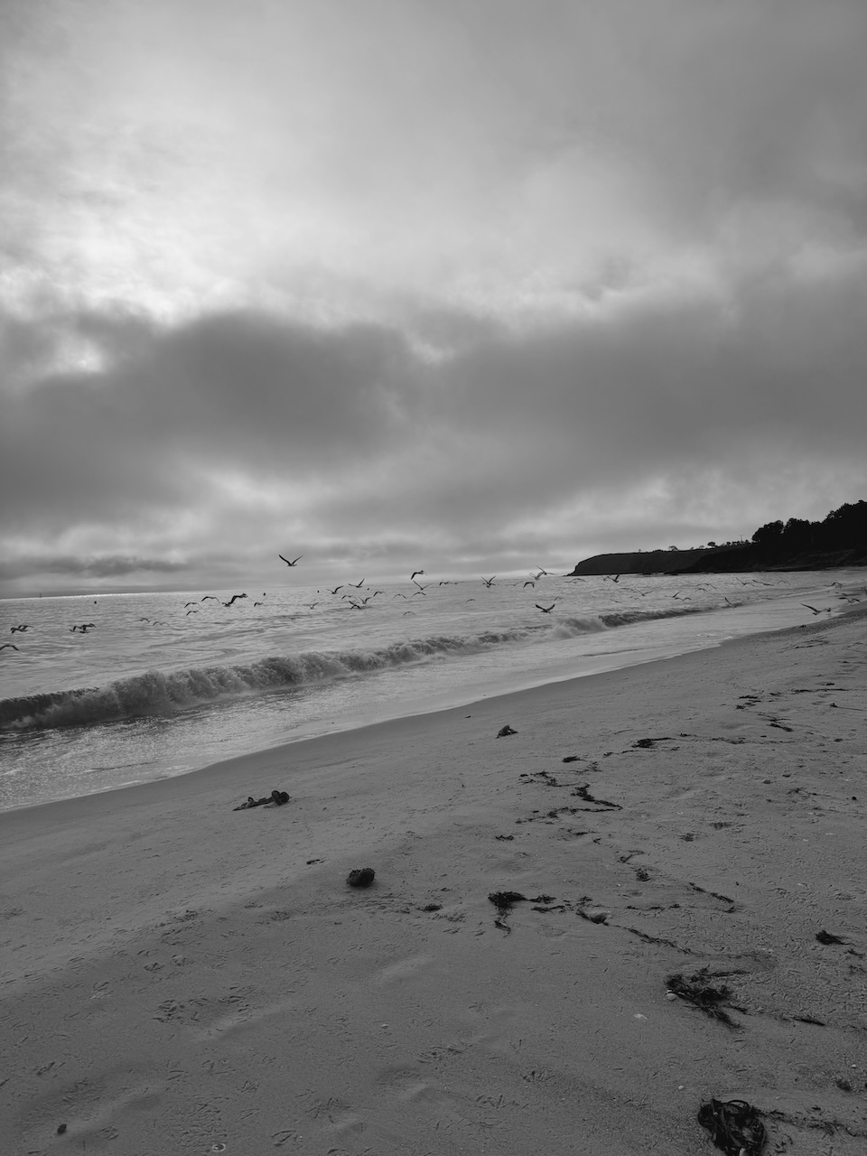 Bild Beach Meadow