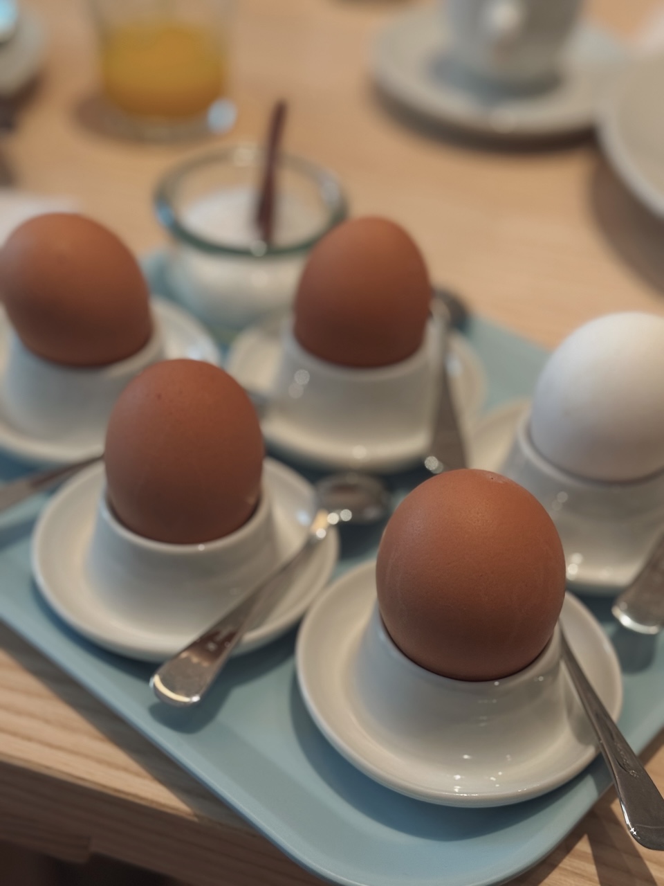 Bild Kleinerlöwe Breaky