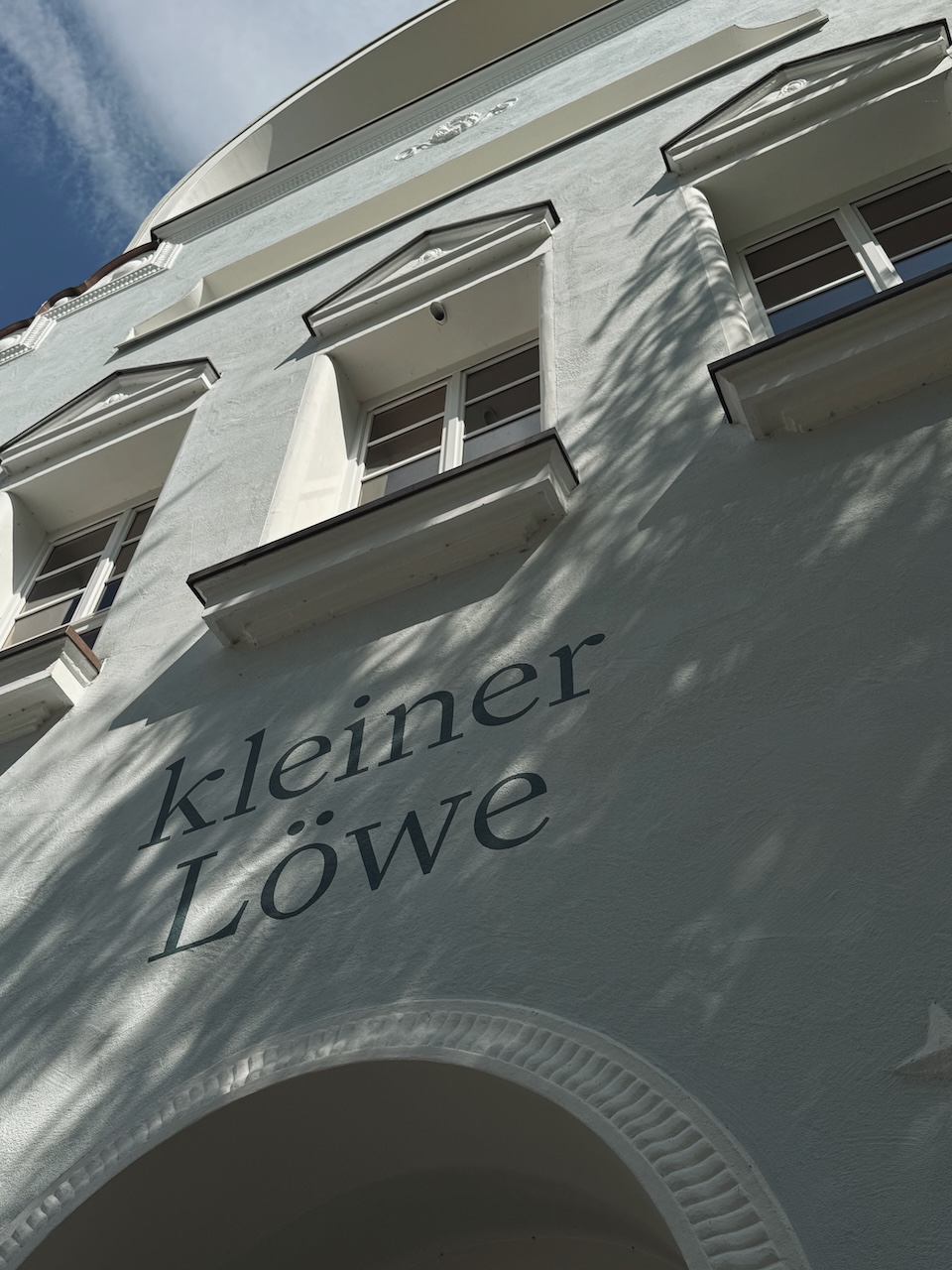 Bild Kleinerlöwe