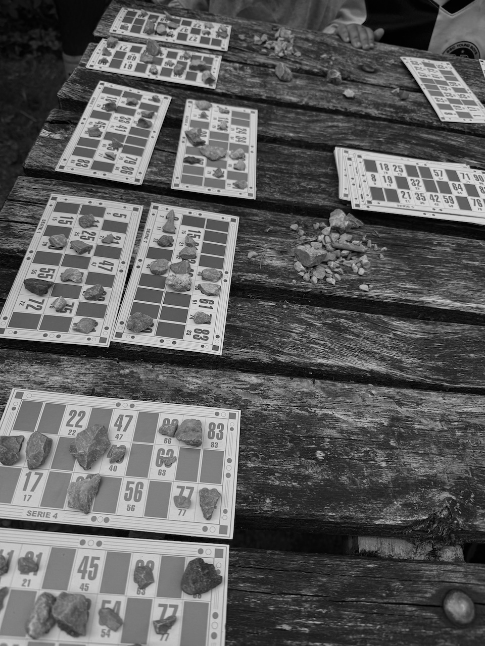 Bild Lotto