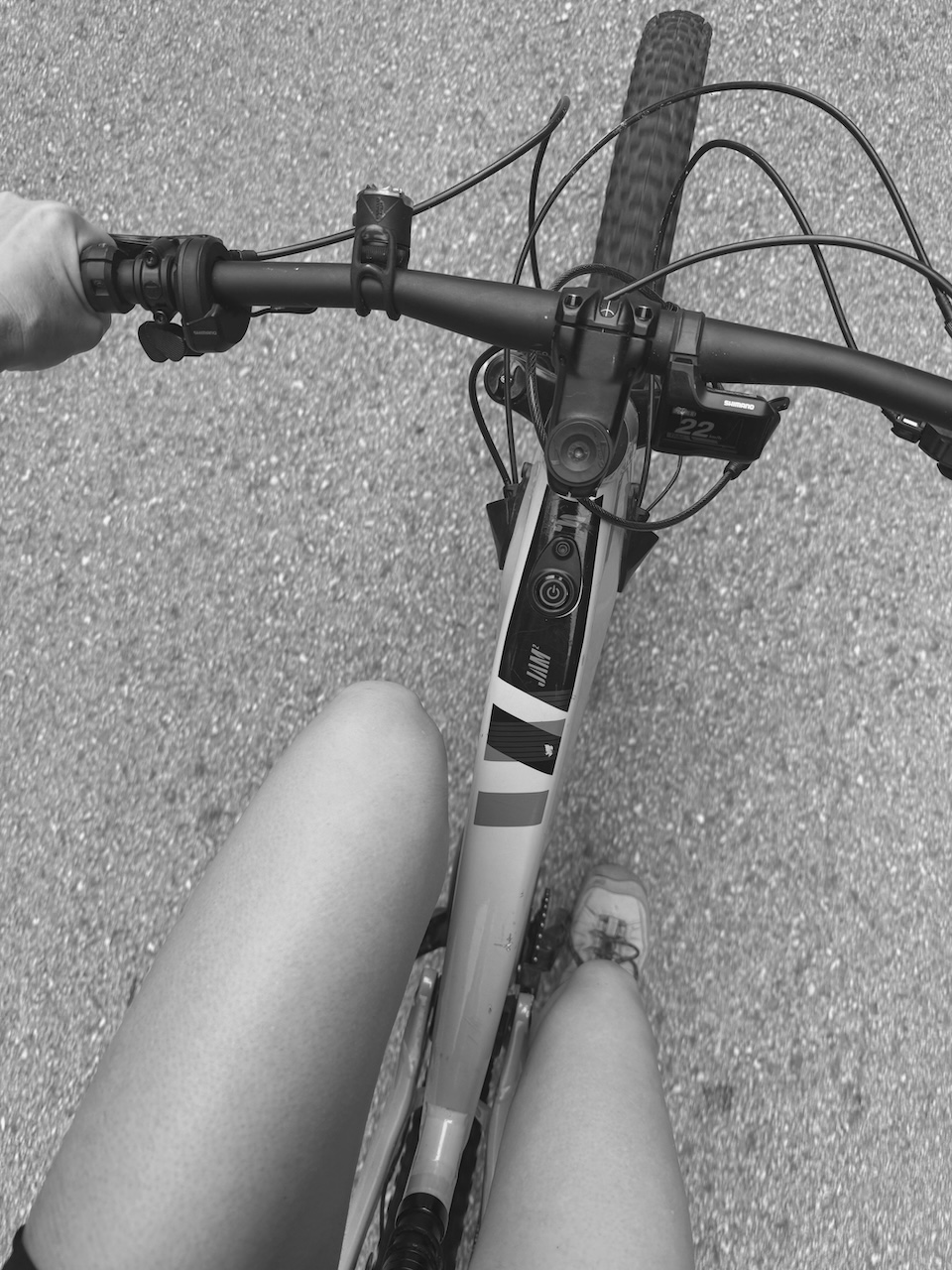 Bild Pro Ebike