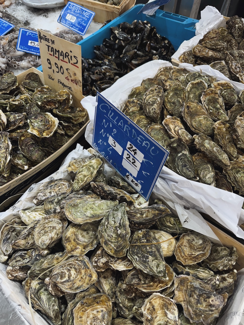 Bild Mussels